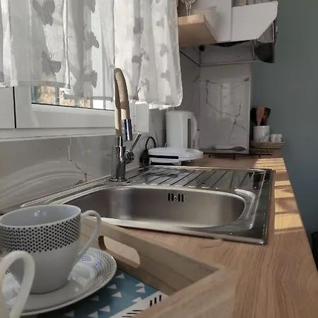 Apartament Ionia *